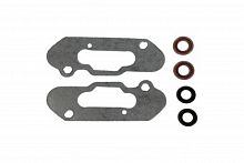 Прокладки RAVE клапана Ski-Doo, Lynx 09-719204