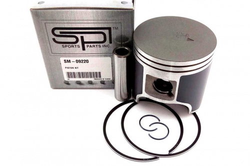 ��������� �������� Arctic Cat SM-09220