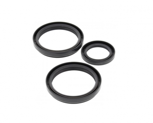 ����������� ��������� ��������� (3 ��������) Arcti� Cat ATV 500&550&650&700&1000