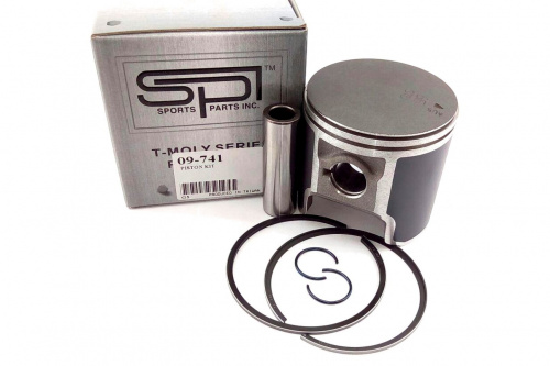 ��������� �������� Ski-Doo, Lynx 503F/300F 09-741