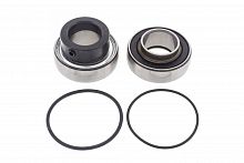 �������� ����������� ���������� ���� Arctic Cat