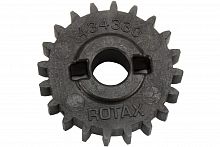 Шестерня водяного насоса BRP