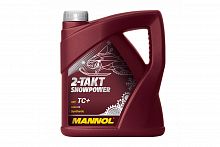  Mannol 2 4 Snowpower 