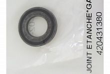 ������ �������������� ���������� ������� 420431380 420431380