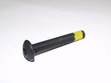 Болт M8 x 55 SkiDoo, CanAm 250000535