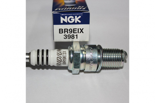  NGK BR9EIX 3981  2